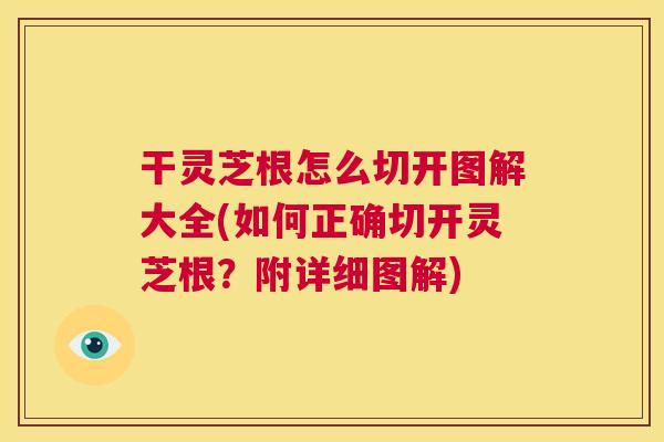 干灵芝根怎么切开图解大全(如何正确切开灵芝根?附详细图解) 第1张 干灵芝根怎么切开图解大全(如何正确切开灵芝根?附详细图解) 第1张