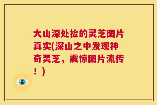 大山深处捡的灵芝图片真实(深山之中发现神奇灵芝，震惊图片流传！)  第1张