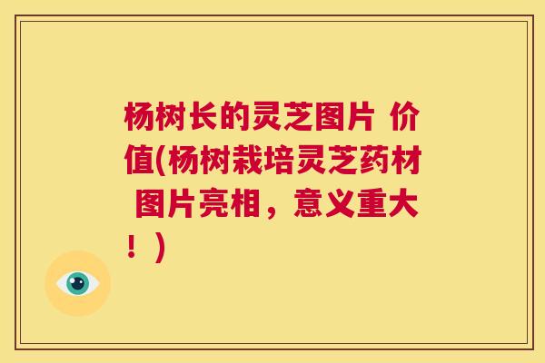 杨树长的灵芝图片 价值(杨树栽培灵芝药材 图片亮相,意义重大!) 第1张 杨树长的灵芝图片 价值(杨树栽培灵芝药材 图片亮相,意义重大!) 第1张