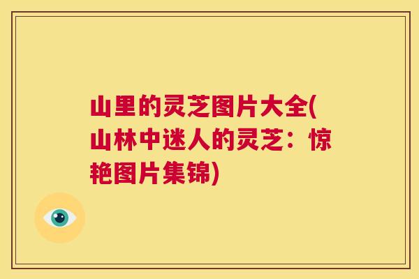 山里的灵芝图片大全(山林中迷人的灵芝:惊艳图片集锦) 第1张 山里的灵芝图片大全(山林中迷人的灵芝:惊艳图片集锦) 第1张