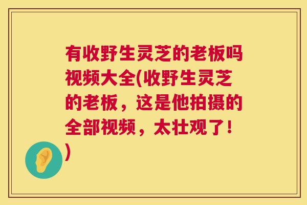 有收野生灵芝的老板吗视频大全(收野生灵芝的老板,这是他拍摄的全部视频,太壮观了!) 第1张 有收野生灵芝的老板吗视频大全(收野生灵芝的老板,这是他拍摄的全部视频,太壮观了!) 第1张