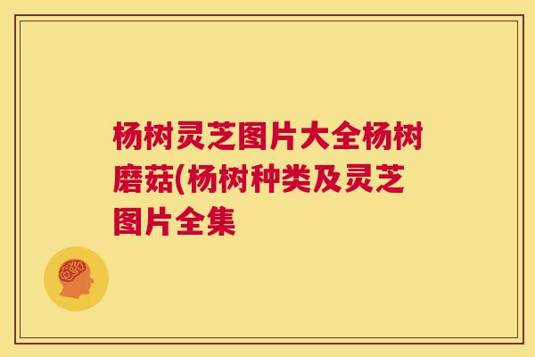 杨树灵芝图片大全杨树磨菇(杨树种类及灵芝图片全集 第1张 杨树灵芝图片大全杨树磨菇(杨树种类及灵芝图片全集 第1张