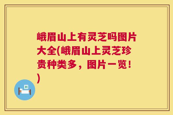 峨眉山上有灵芝吗图片大全(峨眉山上灵芝珍贵种类多,图片一览!) 第1张 峨眉山上有灵芝吗图片大全(峨眉山上灵芝珍贵种类多,图片一览!) 第1张