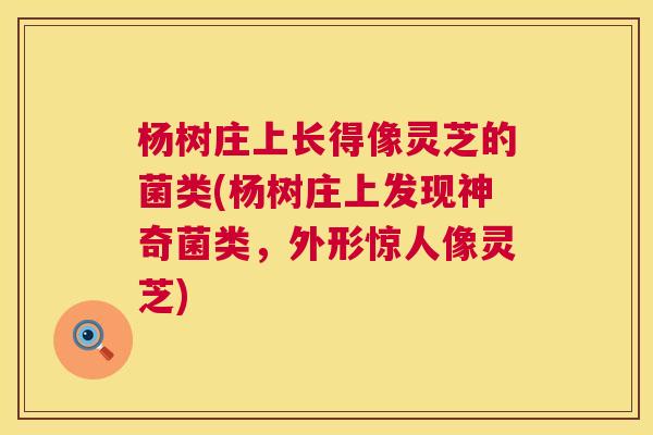杨树庄上长得像灵芝的菌类(杨树庄上发现神奇菌类,外形惊人像灵芝) 第1张 杨树庄上长得像灵芝的菌类(杨树庄上发现神奇菌类,外形惊人像灵芝) 第1张