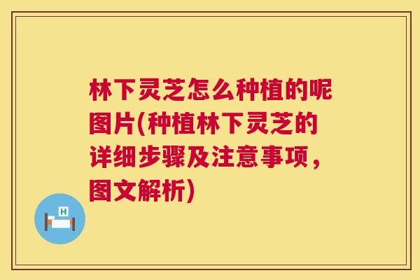 林下灵芝怎么种植的呢图片(种植林下灵芝的详细步骤及注意事项，图文解析)  第1张