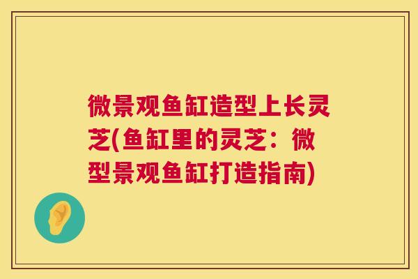 微景观鱼缸造型上长灵芝(鱼缸里的灵芝:微型景观鱼缸打造指南) 第1张 微景观鱼缸造型上长灵芝(鱼缸里的灵芝:微型景观鱼缸打造指南) 第1张