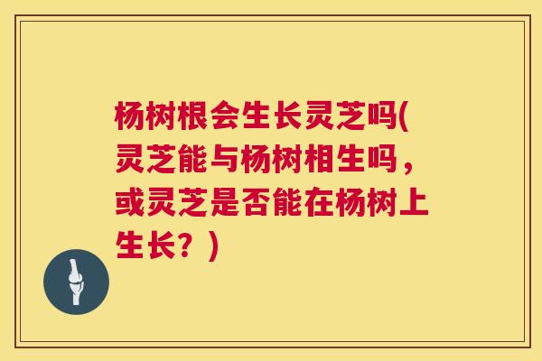 杨树根会生长灵芝吗(灵芝能与杨树相生吗,或灵芝是否能在杨树上生长?) 第1张 杨树根会生长灵芝吗(灵芝能与杨树相生吗,或灵芝是否能在杨树上生长?) 第1张