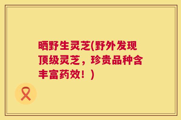 晒野生灵芝(野外发现顶级灵芝,珍贵品种含丰富药效!) 第1张 晒野生灵芝(野外发现顶级灵芝,珍贵品种含丰富药效!) 第1张