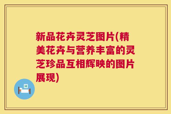 新品花卉灵芝图片(精美花卉与营养丰富的灵芝珍品互相辉映的图片展现) 第1张 新品花卉灵芝图片(精美花卉与营养丰富的灵芝珍品互相辉映的图片展现) 第1张