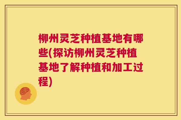 柳州灵芝种植基地有哪些(探访柳州灵芝种植基地了解种植和加工过程) 第1张 柳州灵芝种植基地有哪些(探访柳州灵芝种植基地了解种植和加工过程) 第1张