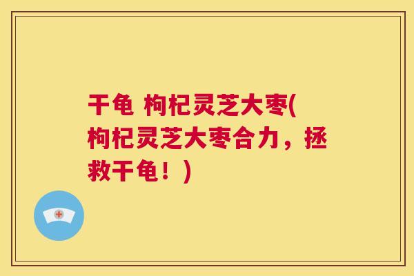 干龟 枸杞灵芝大枣(枸杞灵芝大枣合力，拯救干龟！)  第1张