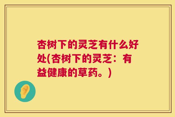 杏树下的灵芝有什么好处(杏树下的灵芝:有益健康的草药。) 第1张 杏树下的灵芝有什么好处(杏树下的灵芝:有益健康的草药。) 第1张