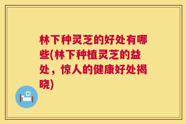 林下种灵芝的好处有哪些(林下种植灵芝的益处,惊人的健康好处揭晓) 第1张 林下种灵芝的好处有哪些(林下种植灵芝的益处,惊人的健康好处揭晓) 第1张