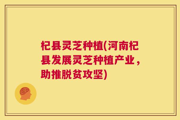 杞县灵芝种植(河南杞县发展灵芝种植产业，助推脱贫攻坚)  第1张