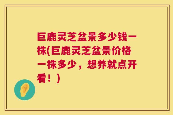巨鹿灵芝盆景多少钱一株(巨鹿灵芝盆景价格一株多少，想养就点开看！)  第1张