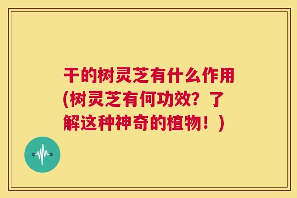干的树灵芝有什么作用(树灵芝有何功效？了解这种神奇的植物！)  第1张