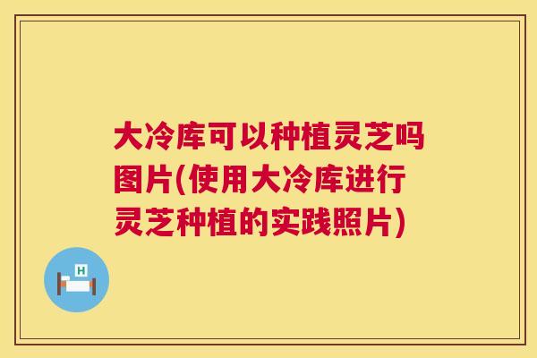大冷库可以种植灵芝吗图片(使用大冷库进行灵芝种植的实践照片) 第1张 大冷库可以种植灵芝吗图片(使用大冷库进行灵芝种植的实践照片) 第1张