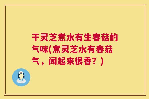 干灵芝煮水有生春菇的气味(煮灵芝水有春菇气，闻起来很香？)  第1张