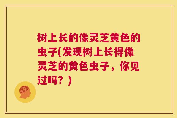 树上长的像灵芝黄色的虫子(发现树上长得像灵芝的黄色虫子,你见过吗?) 第1张 树上长的像灵芝黄色的虫子(发现树上长得像灵芝的黄色虫子,你见过吗?) 第1张