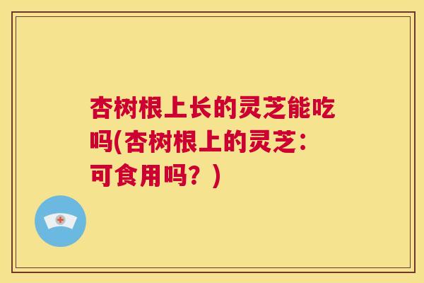 杏树根上长的灵芝能吃吗(杏树根上的灵芝:可食用吗?) 第1张 杏树根上长的灵芝能吃吗(杏树根上的灵芝:可食用吗?) 第1张