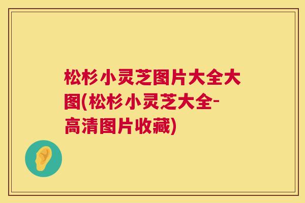 松杉小灵芝图片大全大图(松杉小灵芝大全-高清图片收藏) 第1张 松杉小灵芝图片大全大图(松杉小灵芝大全-高清图片收藏) 第1张