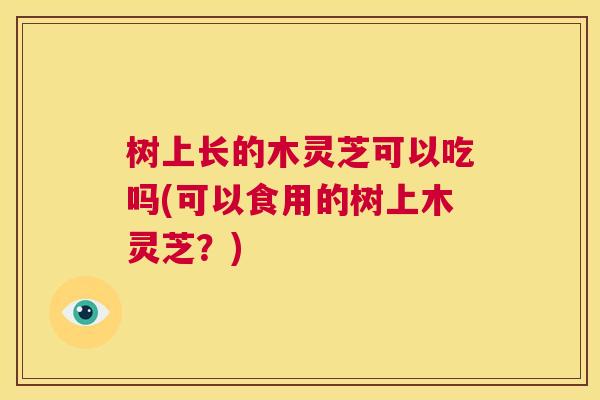 树上长的木灵芝可以吃吗(可以食用的树上木灵芝?) 第1张 树上长的木灵芝可以吃吗(可以食用的树上木灵芝?) 第1张