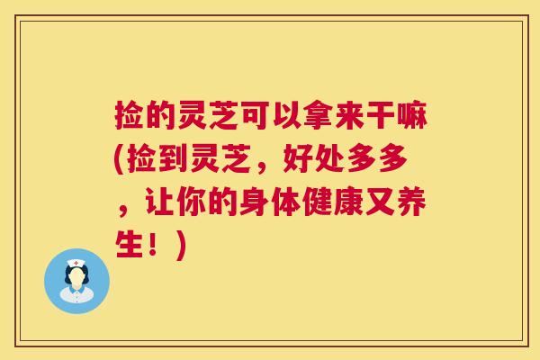 捡的灵芝可以拿来干嘛(捡到灵芝,好处多多,让你的身体健康又养生!) 第1张 捡的灵芝可以拿来干嘛(捡到灵芝,好处多多,让你的身体健康又养生!) 第1张