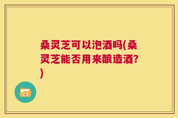 桑灵芝可以泡酒吗(桑灵芝能否用来酿造酒?) 第1张 桑灵芝可以泡酒吗(桑灵芝能否用来酿造酒?) 第1张
