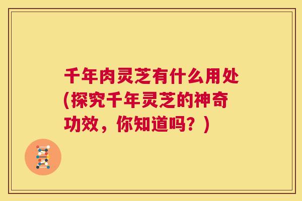 千年肉灵芝有什么用处(探究千年灵芝的神奇功效,你知道吗?) 第1张 千年肉灵芝有什么用处(探究千年灵芝的神奇功效,你知道吗?) 第1张