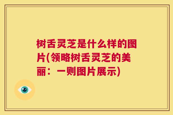 树舌灵芝是什么样的图片(领略树舌灵芝的美丽:一则图片展示) 第1张 树舌灵芝是什么样的图片(领略树舌灵芝的美丽:一则图片展示) 第1张