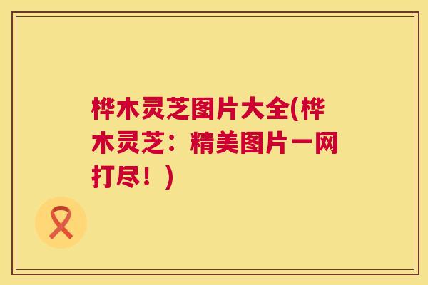 桦木灵芝图片大全(桦木灵芝:精美图片一网打尽!) 第1张 桦木灵芝图片大全(桦木灵芝:精美图片一网打尽!) 第1张