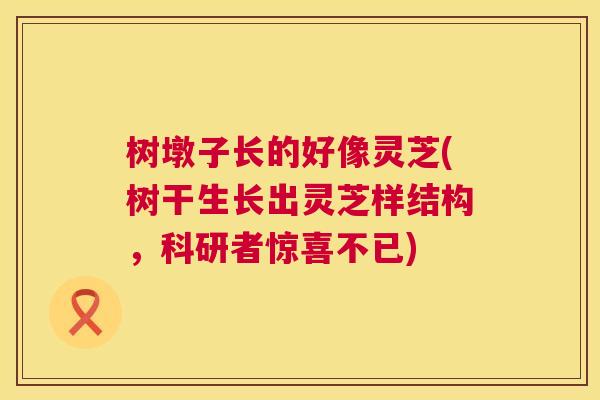 树墩子长的好像灵芝(树干生长出灵芝样结构,科研者惊喜不已) 第1张 树墩子长的好像灵芝(树干生长出灵芝样结构,科研者惊喜不已) 第1张