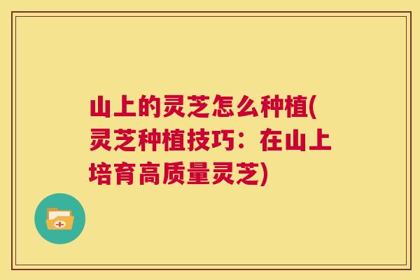山上的灵芝怎么种植(灵芝种植技巧:在山上培育高质量灵芝) 第1张 山上的灵芝怎么种植(灵芝种植技巧:在山上培育高质量灵芝) 第1张