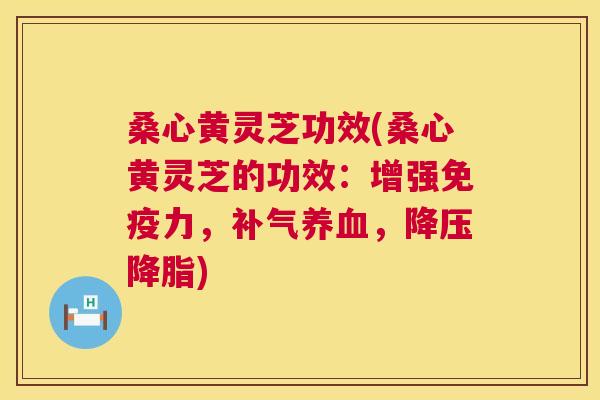 桑心黄灵芝功效(桑心黄灵芝的功效:增强免疫力,补气养血,降压降脂) 第1张 桑心黄灵芝功效(桑心黄灵芝的功效:增强免疫力,补气养血,降压降脂) 第1张