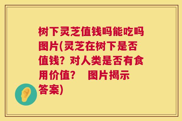 树下灵芝值钱吗能吃吗图片(灵芝在树下是否值钱?对人类是否有食用价值? 图片揭示答案) 第1张 树下灵芝值钱吗能吃吗图片(灵芝在树下是否值钱?对人类是否有食用价值? 图片揭示答案) 第1张