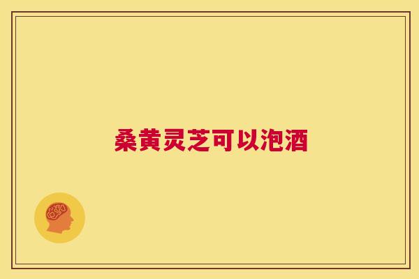 桑黄灵芝可以泡酒 第1张 桑黄灵芝可以泡酒 第1张