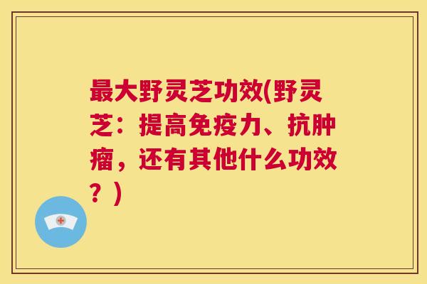 最大野灵芝功效(野灵芝:提高免疫力、抗肿瘤,还有其他什么功效?) 第1张 最大野灵芝功效(野灵芝:提高免疫力、抗肿瘤,还有其他什么功效?) 第1张