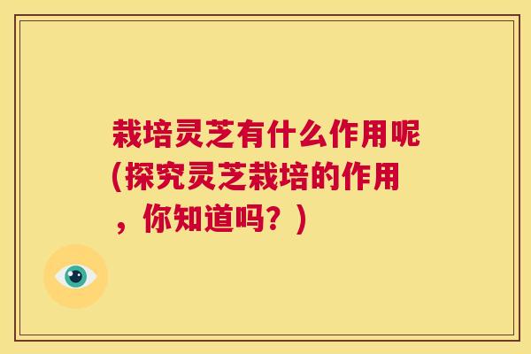 栽培灵芝有什么作用呢(探究灵芝栽培的作用,你知道吗?) 第1张 栽培灵芝有什么作用呢(探究灵芝栽培的作用,你知道吗?) 第1张
