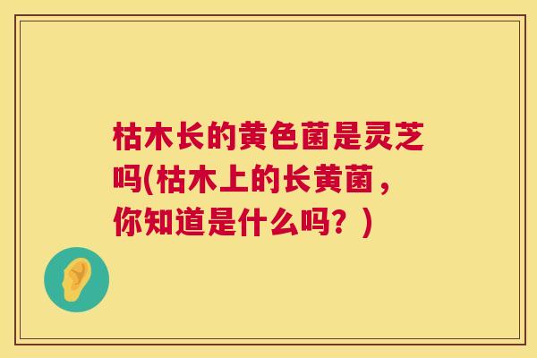 枯木长的黄色菌是灵芝吗(枯木上的长黄菌，你知道是什么吗？)  第1张