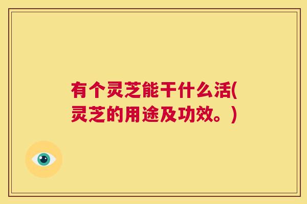 有个灵芝能干什么活(灵芝的用途及功效。)  第1张