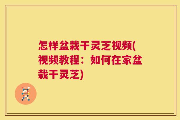 怎样盆栽干灵芝视频(视频教程:如何在家盆栽干灵芝) 第1张 怎样盆栽干灵芝视频(视频教程:如何在家盆栽干灵芝) 第1张