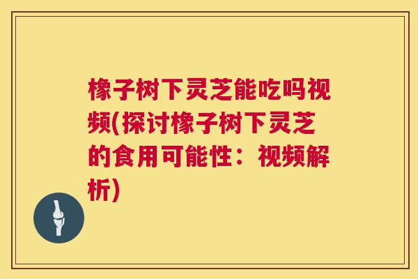 橡子树下灵芝能吃吗视频(探讨橡子树下灵芝的食用可能性:视频解析) 第1张 橡子树下灵芝能吃吗视频(探讨橡子树下灵芝的食用可能性:视频解析) 第1张