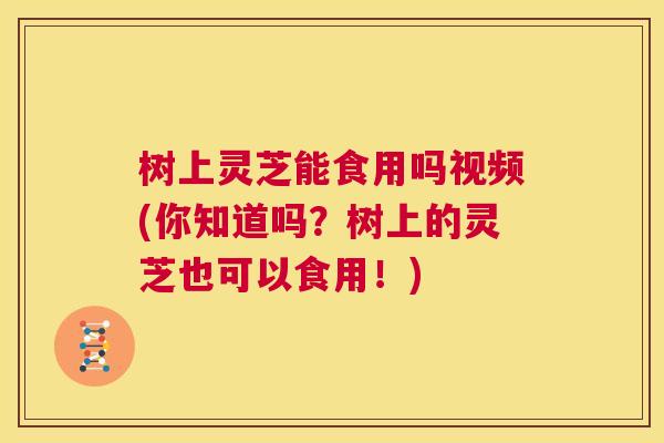 树上灵芝能食用吗视频(你知道吗？树上的灵芝也可以食用！)  第1张