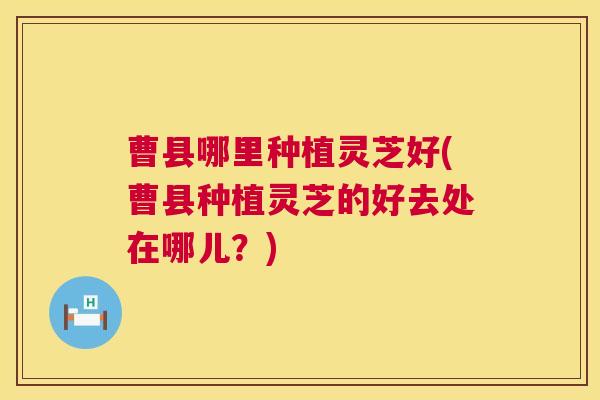 曹县哪里种植灵芝好(曹县种植灵芝的好去处在哪儿?) 第1张 曹县哪里种植灵芝好(曹县种植灵芝的好去处在哪儿?) 第1张