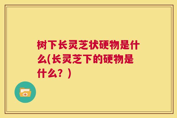 树下长灵芝状硬物是什么(长灵芝下的硬物是什么?) 第1张 树下长灵芝状硬物是什么(长灵芝下的硬物是什么?) 第1张