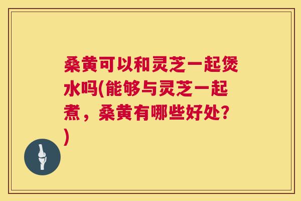 桑黄可以和灵芝一起煲水吗(能够与灵芝一起煮,桑黄有哪些好处?) 第1张 桑黄可以和灵芝一起煲水吗(能够与灵芝一起煮,桑黄有哪些好处?) 第1张