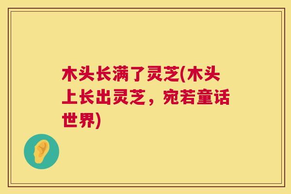 木头长满了灵芝(木头上长出灵芝,宛若童话世界) 第1张 木头长满了灵芝(木头上长出灵芝,宛若童话世界) 第1张