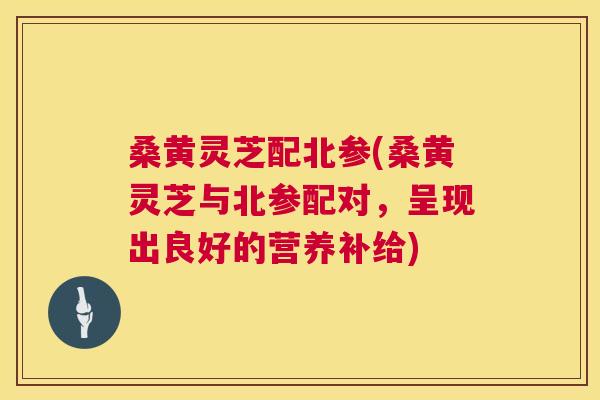 桑黄灵芝配北参(桑黄灵芝与北参配对,呈现出良好的营养补给) 第1张 桑黄灵芝配北参(桑黄灵芝与北参配对,呈现出良好的营养补给) 第1张