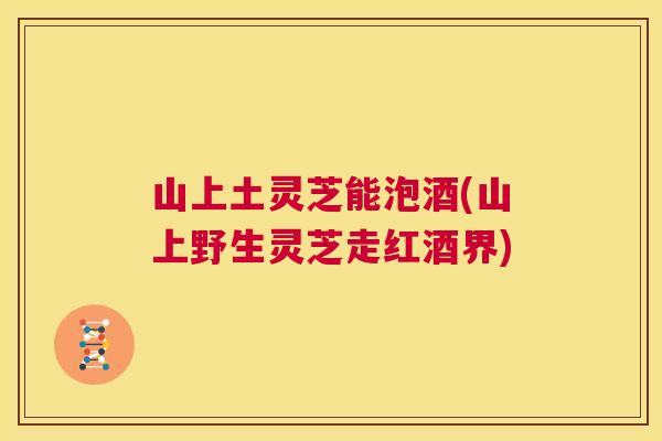 山上土灵芝能泡酒(山上野生灵芝走红酒界) 第1张 山上土灵芝能泡酒(山上野生灵芝走红酒界) 第1张