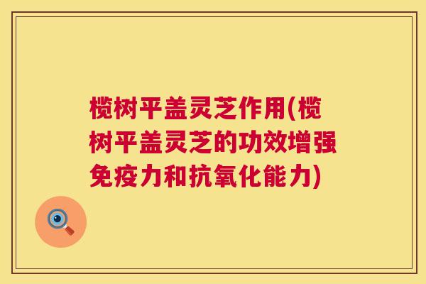 榄树平盖灵芝作用(榄树平盖灵芝的功效增强免疫力和抗氧化能力) 第1张 榄树平盖灵芝作用(榄树平盖灵芝的功效增强免疫力和抗氧化能力) 第1张